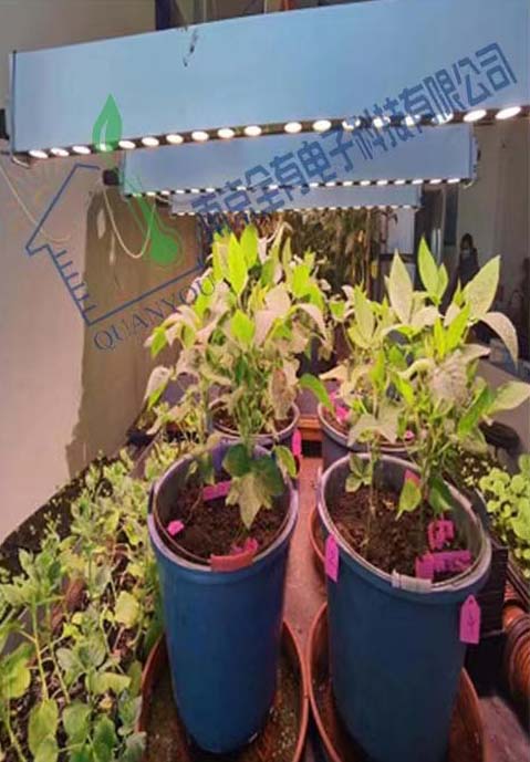 中國科學院東北地理與農業(yè)生態(tài)研究所項目實景圖